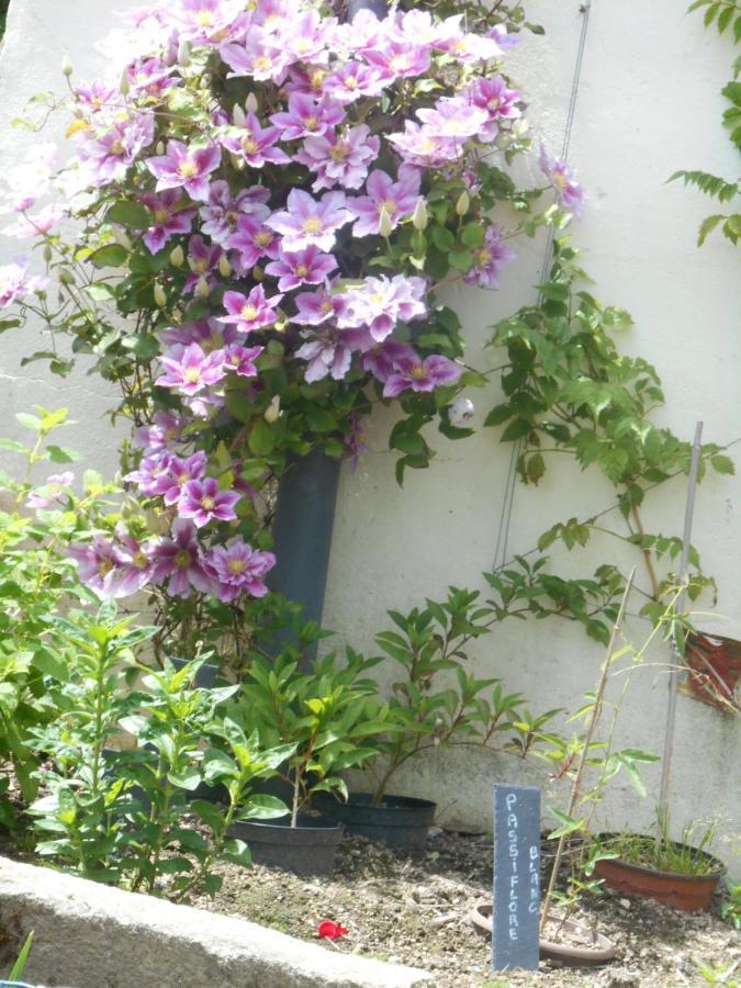 La Mare Aux Fees Bed & Breakfast Huelgoat Exterior photo